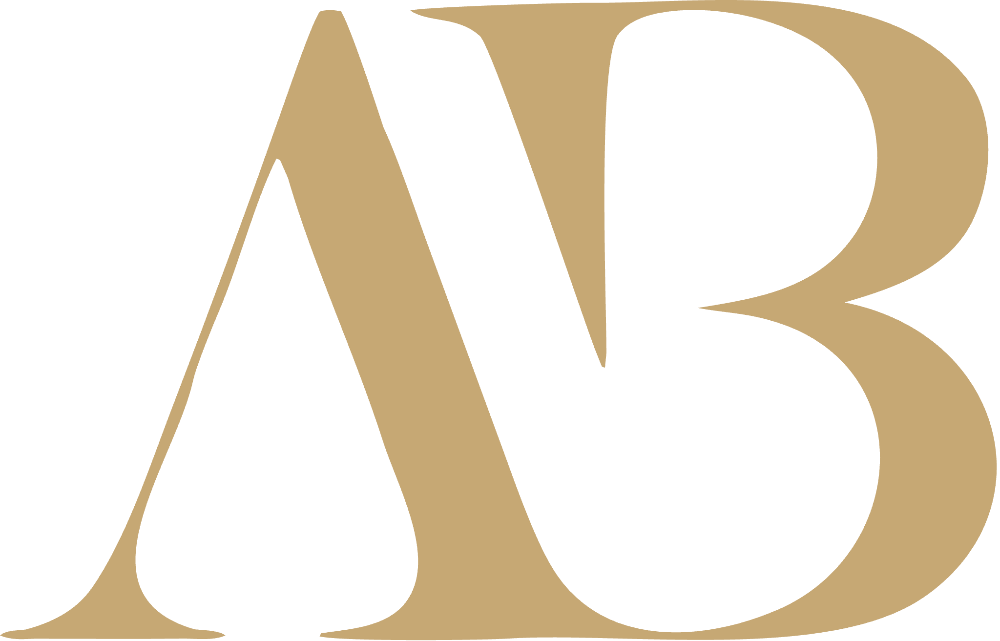 atlanticbridge.co.za